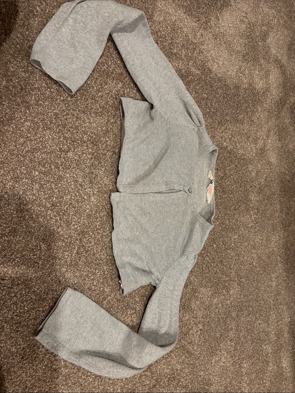 H&M Silver Metallic Zip-Front Long Sleeve Sweater